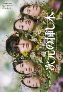 Labyrinth of Hortensia and the Minotaur (2026)